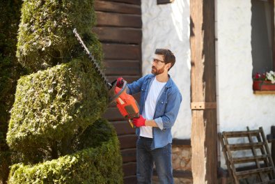 What Is the Best Time of Year to Trim Your Trees?